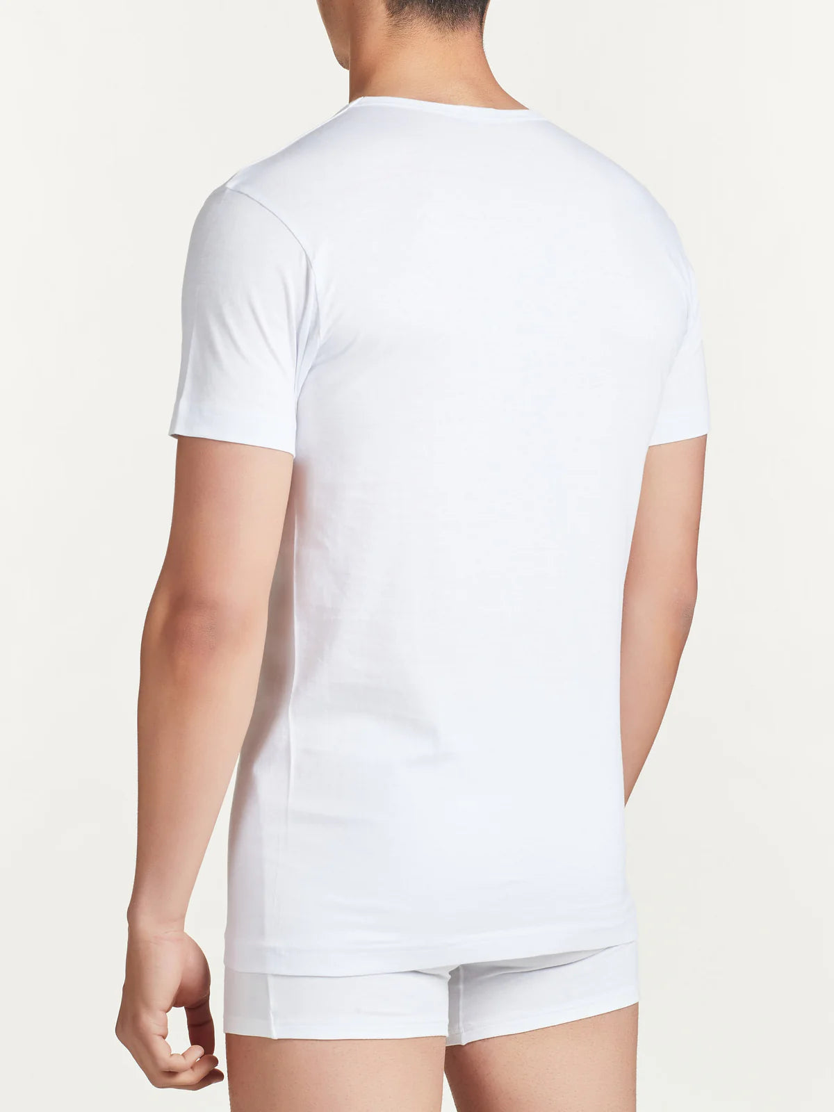 Maglia uomo Ragno girocollo mezza manica conf.2pz 601417